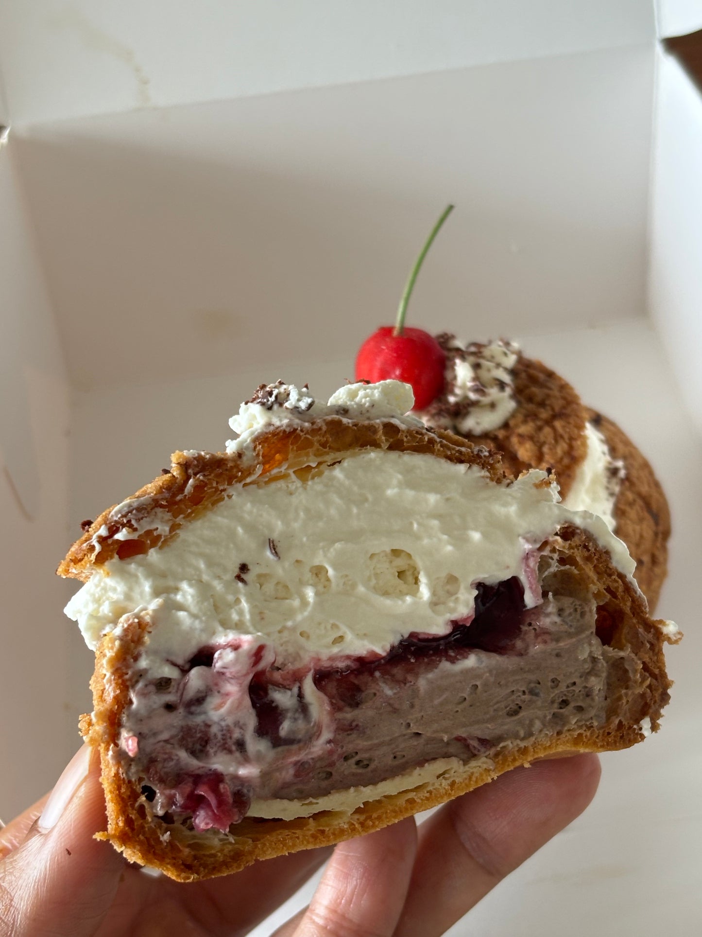 Black Forest Choux Pastry (box of 2)